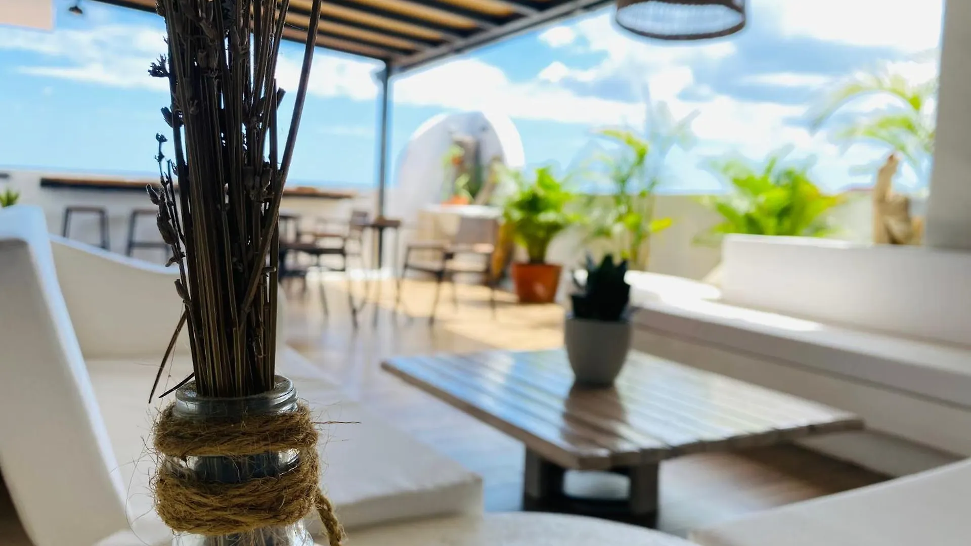 شقة فندقية سانتو دومينجو Ob Studios